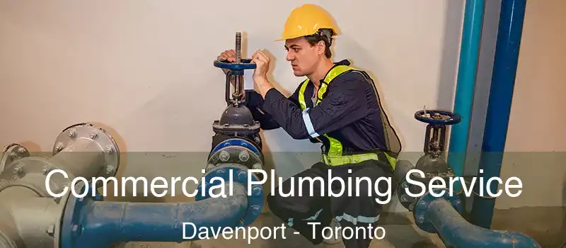 Commercial Plumbing Service Davenport - Toronto